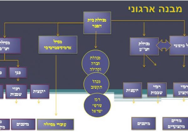מבנה ארגוני